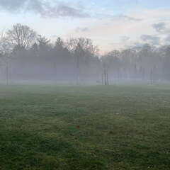 24-12-06 15-44-00 1661